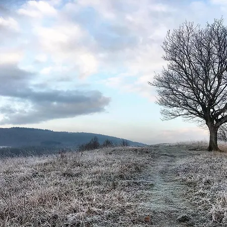 Heaven Alpesi faház Treignes