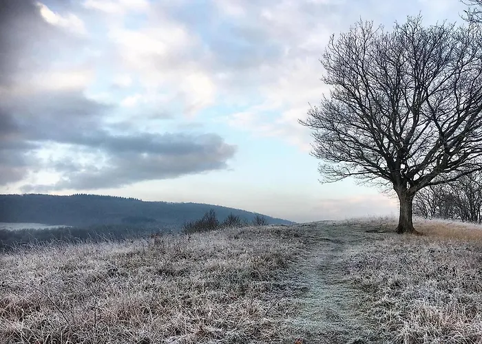 Heaven Chalet Treignes